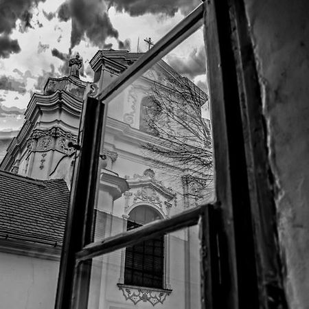 Penzion U Borovicku Litoměřice Exterior foto